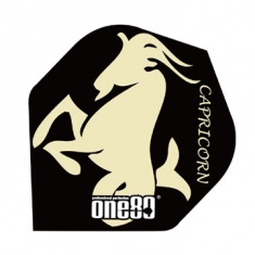 CONSTELLATION FLIGHTS CAPRICORN - 8412